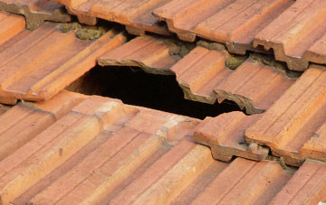 roof repair Fishcross, Clackmannanshire